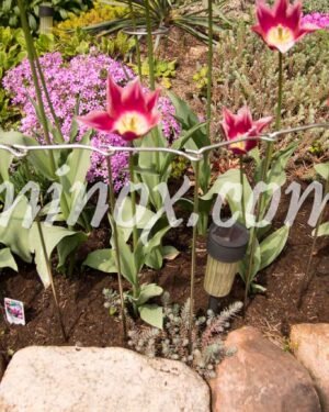 Płotek modułowy z drutu  (5 szt w zestawie)